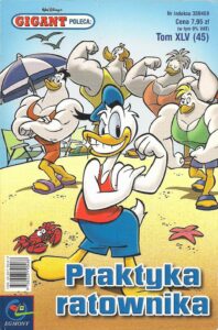 Gigant Poleca #45 (9/2004): Praktyka ratownika