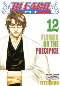 Bleach #12