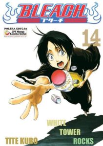 Bleach #14