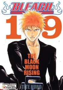 Bleach #19