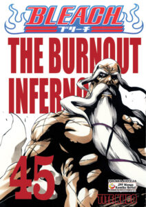 Bleach #45