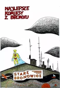 Najlepsze komiksy z Bronxu