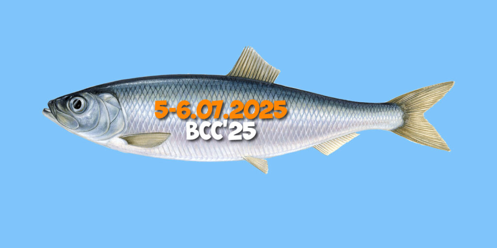 BCC2025