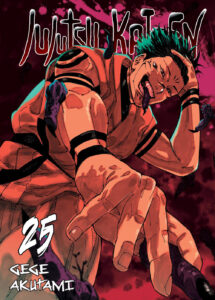 Jujutsu Kaisen #25