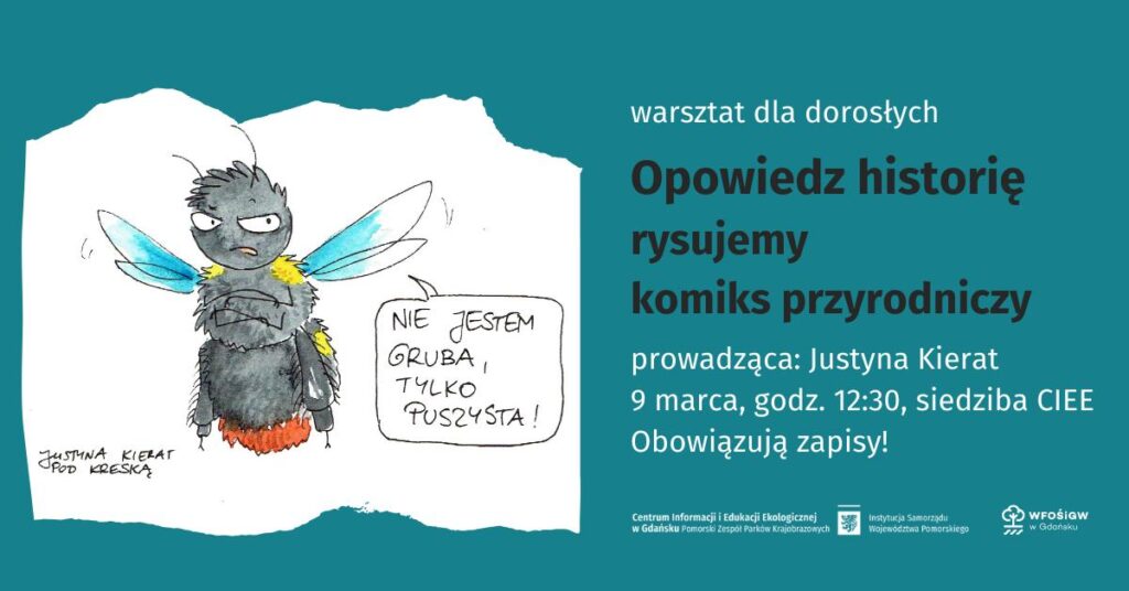 Opowiedz historie warsztaty