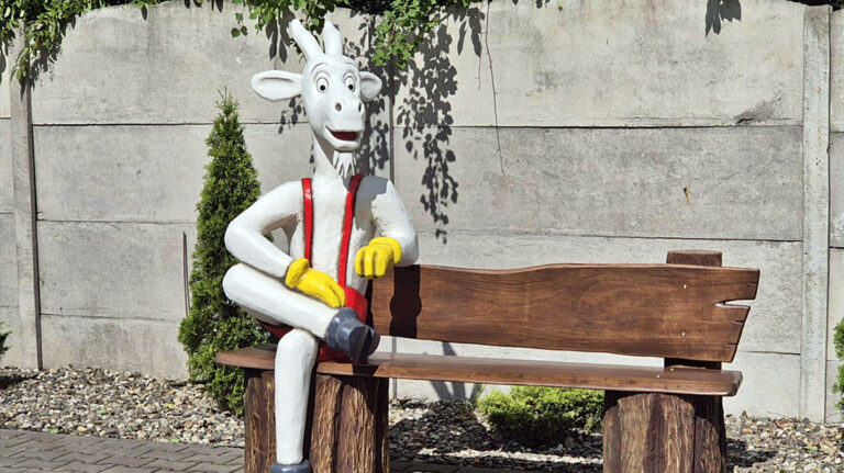 matolek ławeczka news