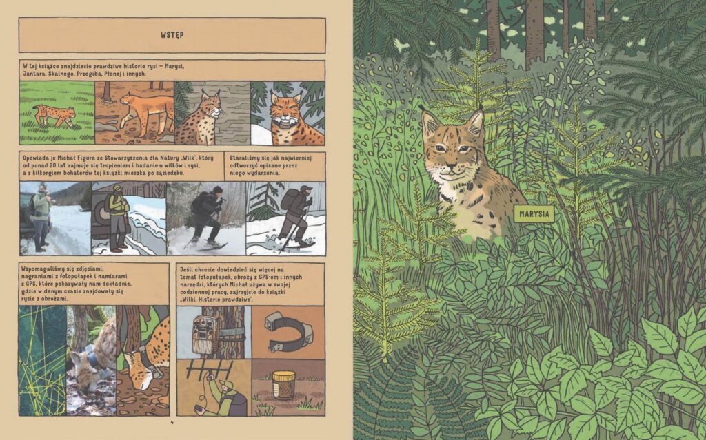 rysie_7_Page_3
