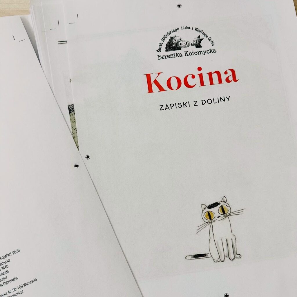 Kocina2