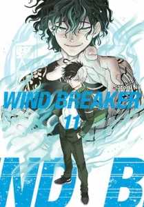 Wind Breaker #11