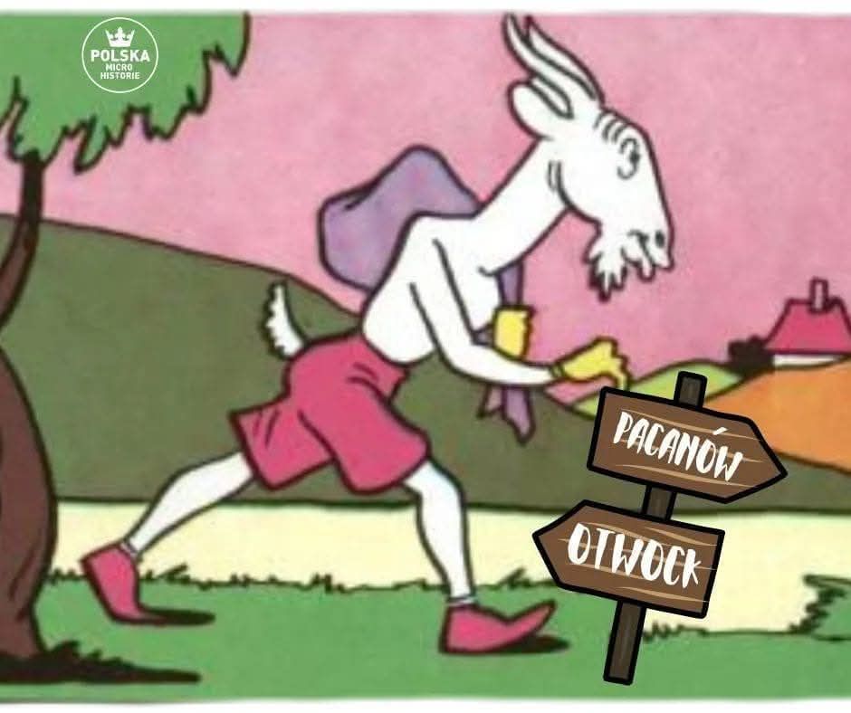 koziołek matołęk otwock