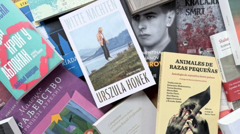 program translatorki poland 2026 news