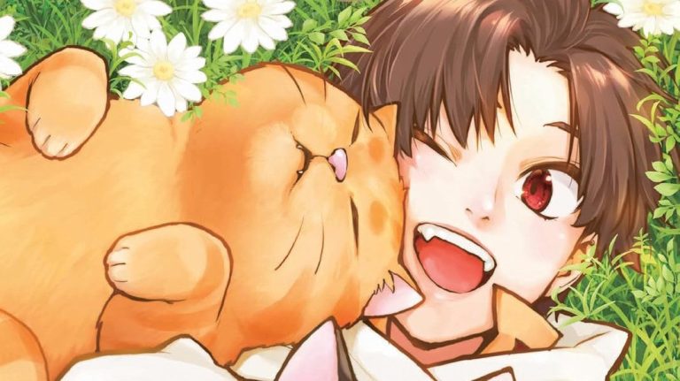 A to wszystko przez kota news