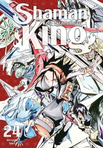 Shaman King 24