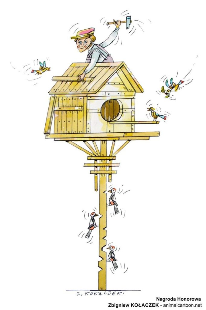 mKołaczek Zbigniew 26_Domek dla ptaków