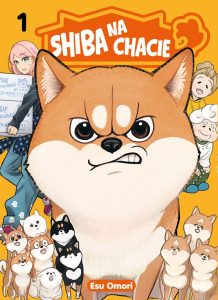 Shiba na chacie #01