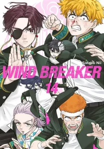 Wind Breaker #14