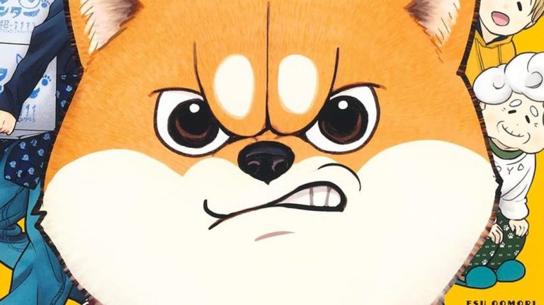 shiba na chacie news