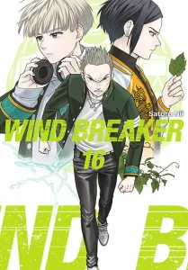 Wind Breaker 16