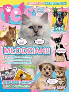 Pets 41