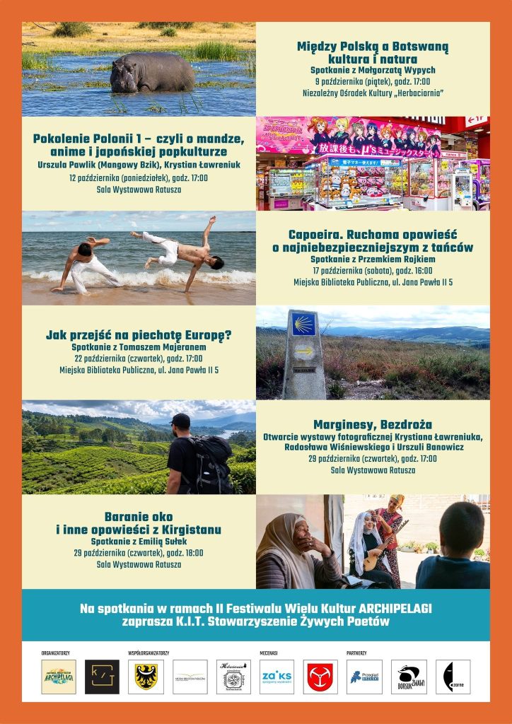 Pokolenie Polonii 1 plakat