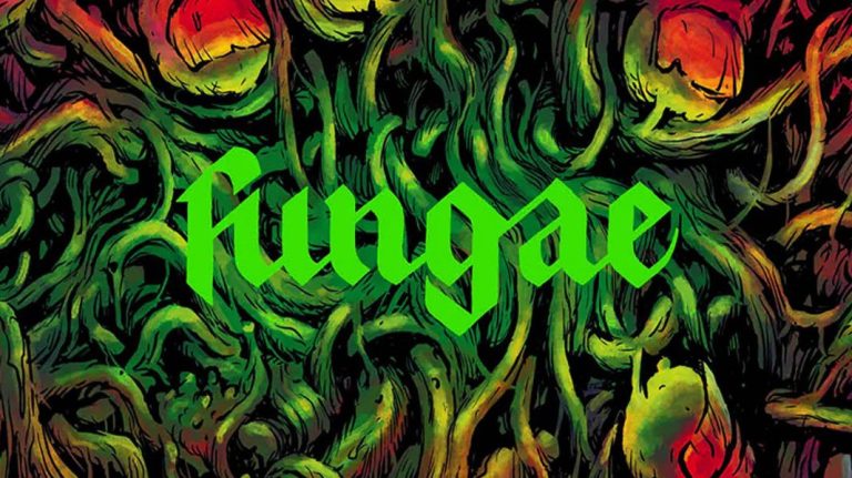 fungae best of 2026