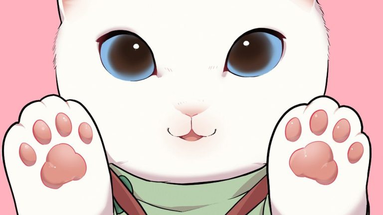 miausazysci news
