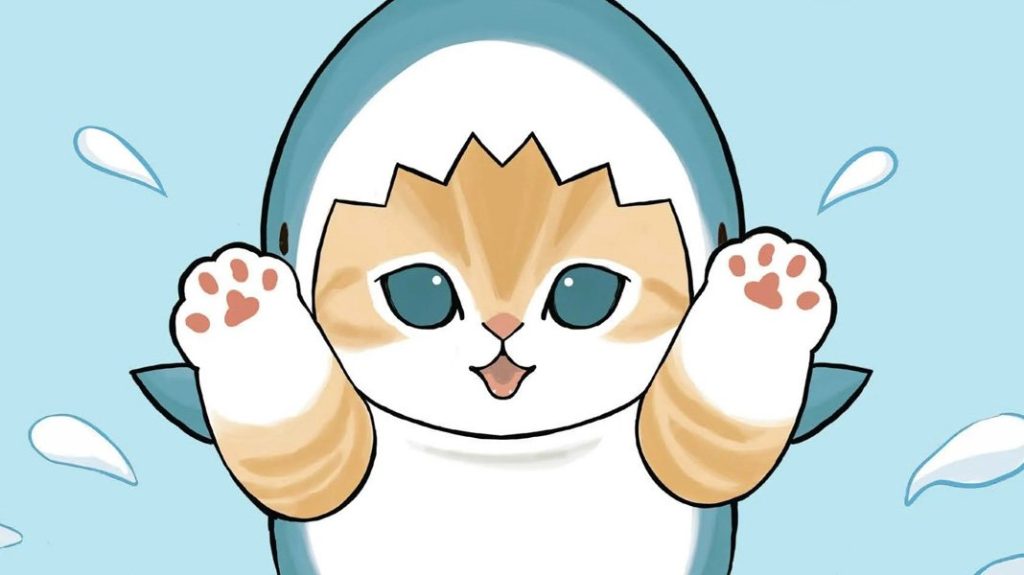 rekin miau news